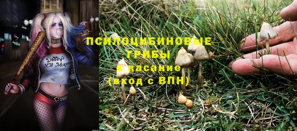 не бодяженный Алзамай